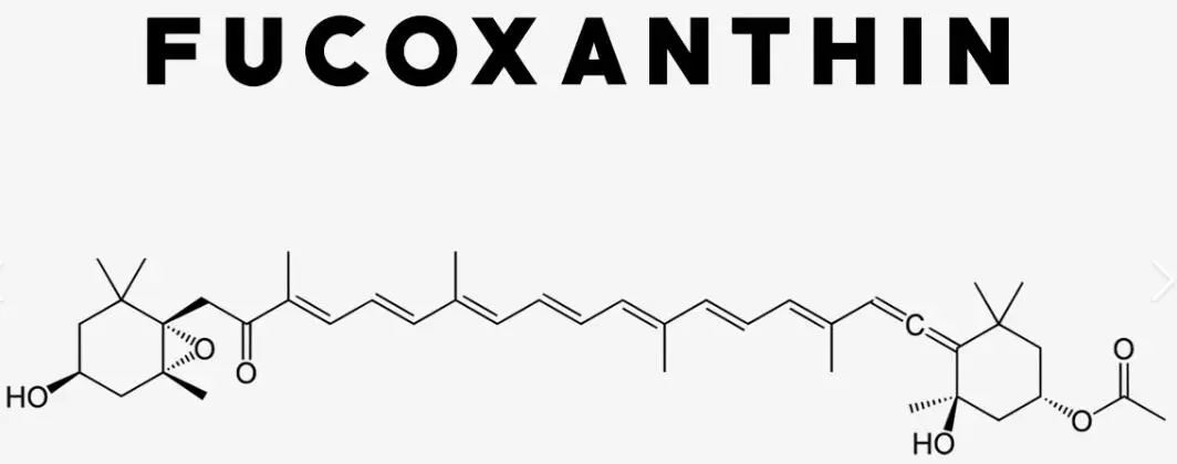Fucoxanthin.jpg