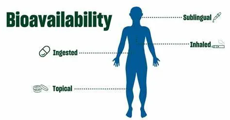 Bioavailability_看图王.jpg