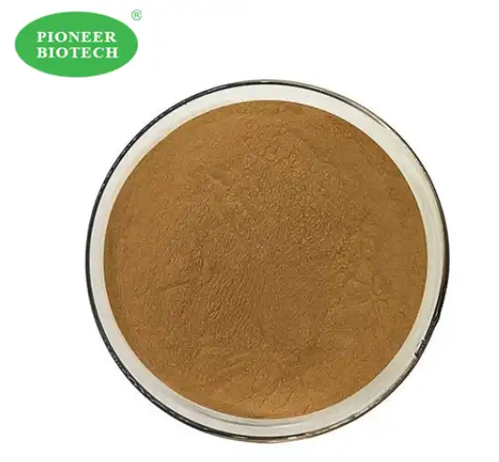 ajuga turkestanica extract powde