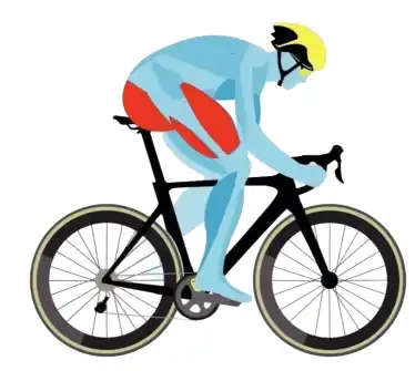  Increased strength and endurance