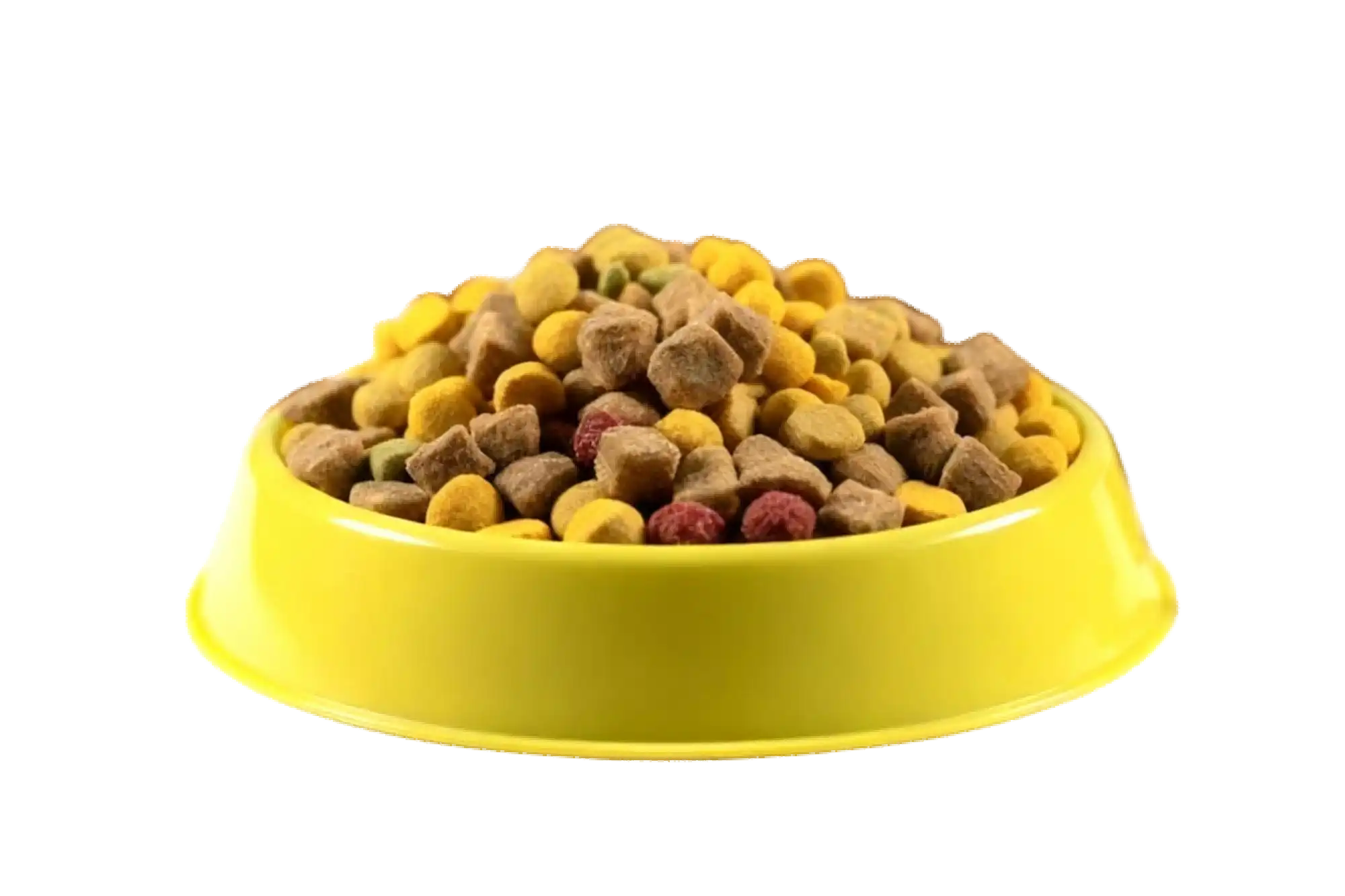 Animal feed and pet nutrition Animal feed and pet nutrition