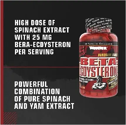 Sports Nutrition & Bodybuilding Supplements: