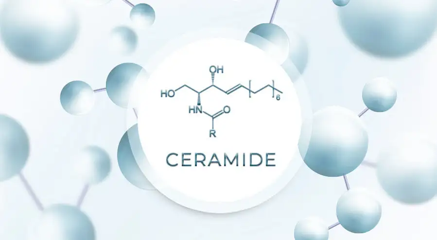 blog-899-493 blog-899-493