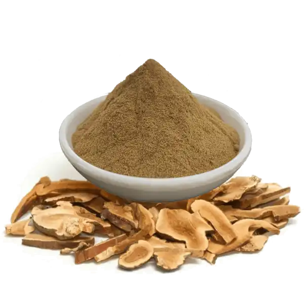 blog-600-600 blog-600-600