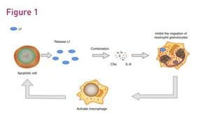 blog-290-161 blog-290-161