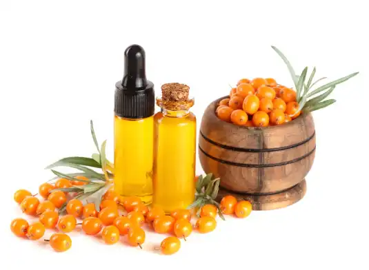 blog-535-392 blog-535-392