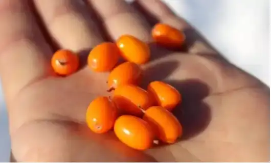 blog-530-320 blog-530-320