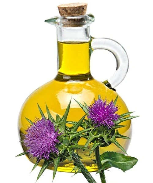 blog-500-600 blog-500-600