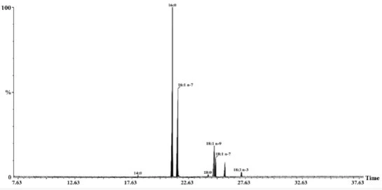 blog-545-271 blog-545-271