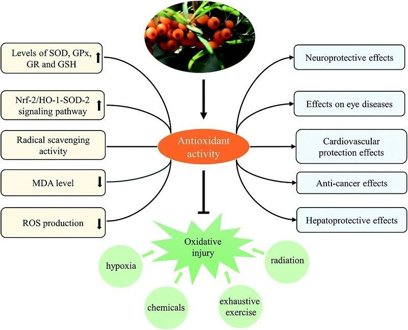 blog-800-647 blog-800-647