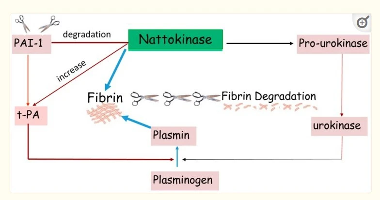 blog-784-413 blog-784-413