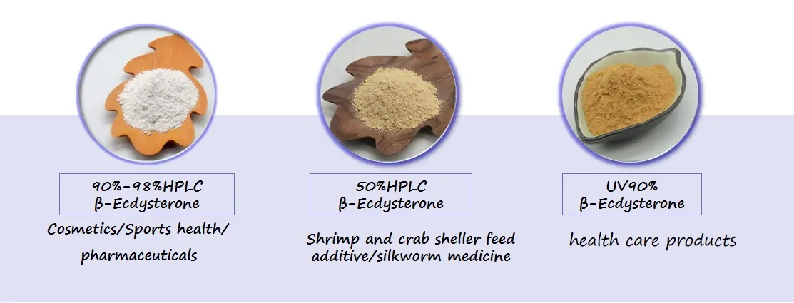 cyanotis arachnoidea root extract cyanotis arachnoidea root extract