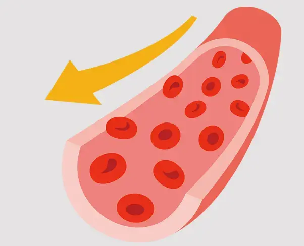 Nattokinase Powder Diverse Application Fields