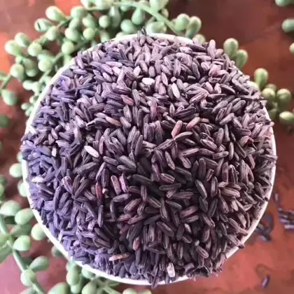 purple rice powder