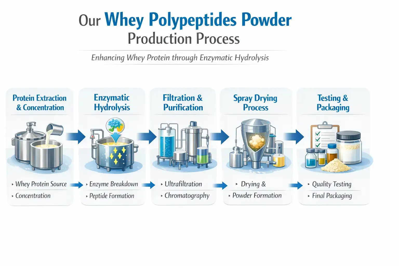 whey polypeptides powder Process whey polypeptides powder Process