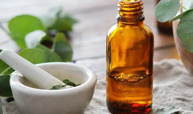 aura cacia eucalyptus essential oil