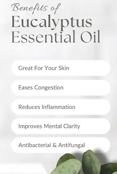 Core Product Functions