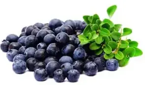 Blueberry extract anthocyanin Blueberry extract anthocyanin