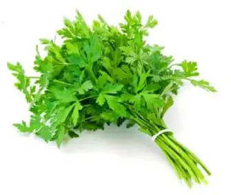 product-783-783 product-783-783