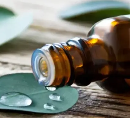 What is Eucalyptus Mint Fragrance Oil?