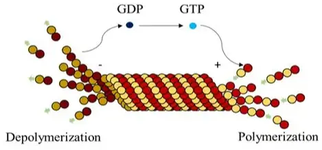 Core Product Functions