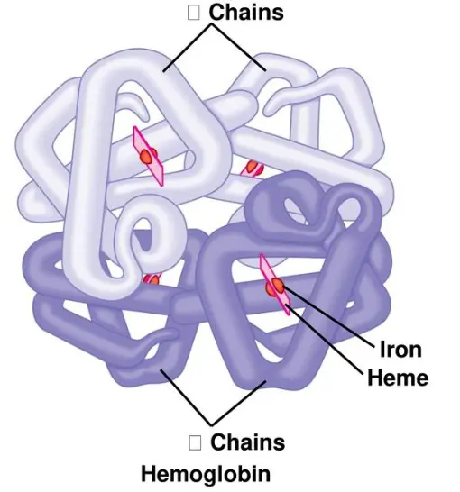 Key Product Advantages Key Product Advantages