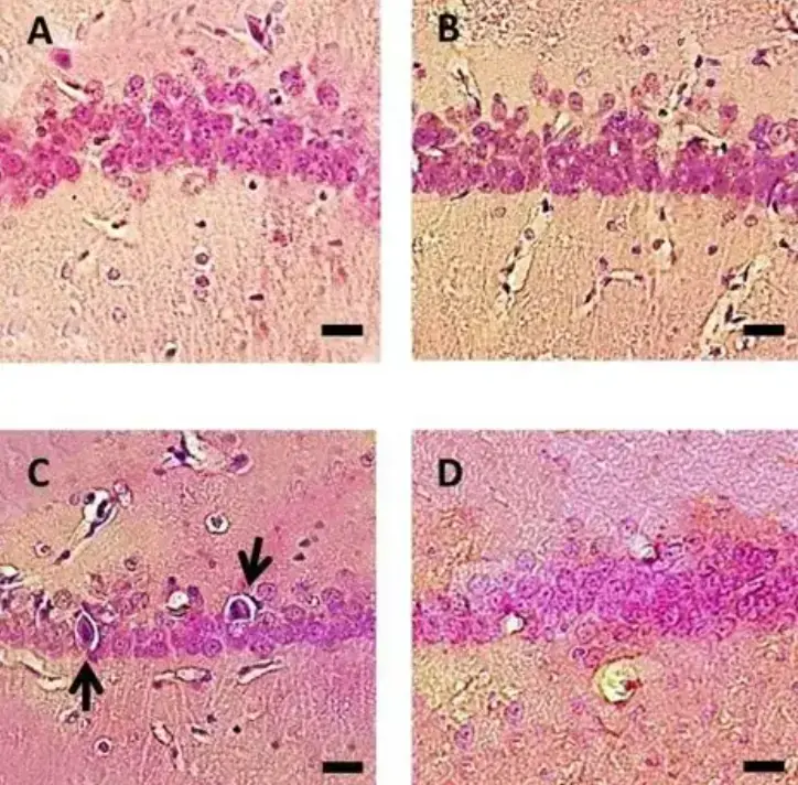 Core Product Functions