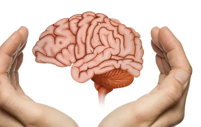 Core Product Functions