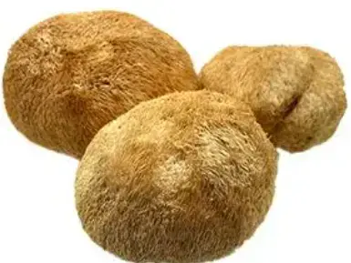 What is Hericium Erinaceus Extract? What is Hericium Erinaceus Extract?