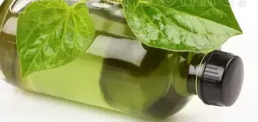 What is Houttuynia Cordata Oil?