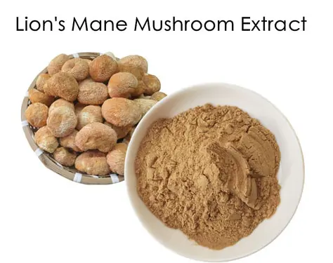 What is Lions Mane Extract Powder?