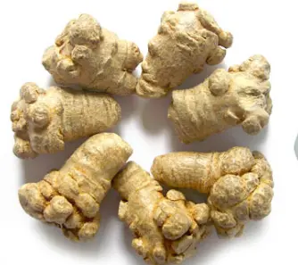 What is Panax Notoginseng Extract powder What is Panax Notoginseng Extract powder
