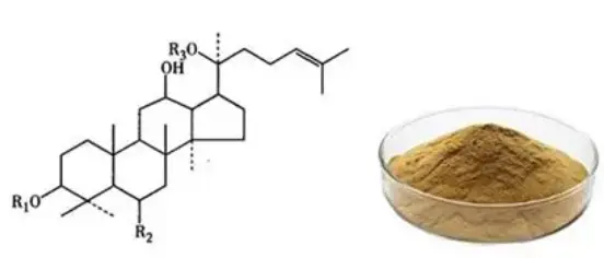 What is Panax Notoginseng Extract powder