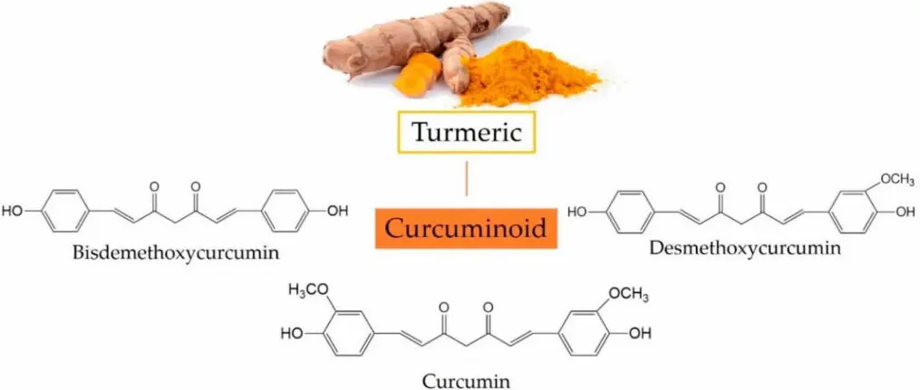 Core Product Functions Core Product Functions