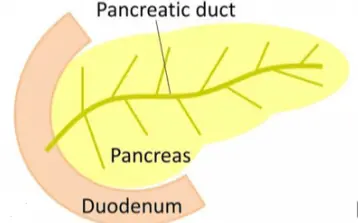 Core Product Functions