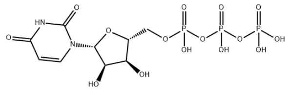 What is Uridine-5'-triphosphate trisodium salt?
