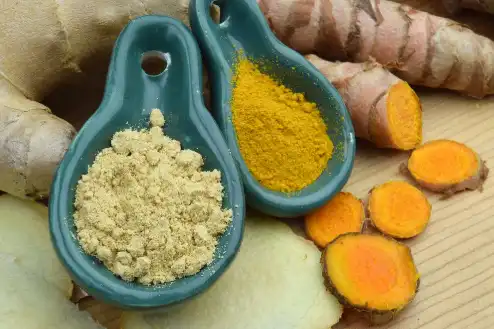 How Can Organic Turmeric Root Extract Improve Joint and Digestive Health Naturally?