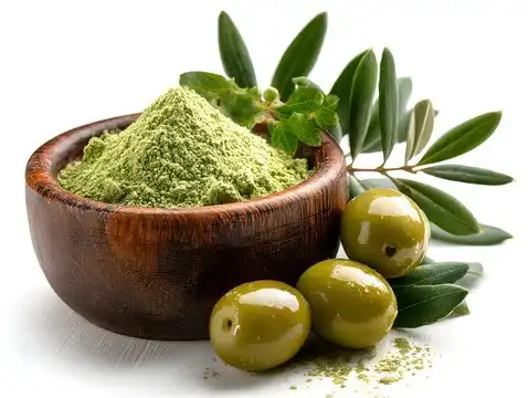 Wholesale Oleuropein Powder: What Every Buyer Needs to Know