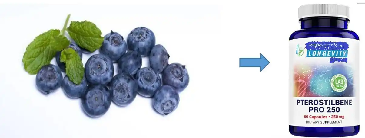 Why Do Leading Functional Food Manufacturers Choose Pure Pterostilbene?