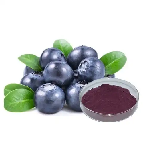Custom Blueberry Anthocyanin Extract OEM Services