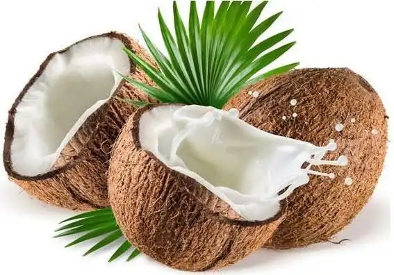 What Are the Top Applications of Organic Coconut Protein Powder in Food and Beverage?