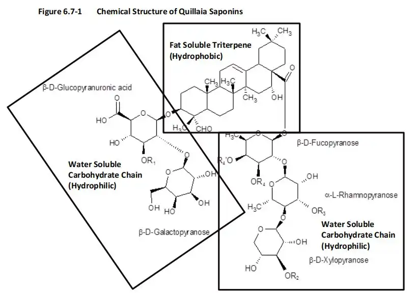 What Are the Top Uses of Quillaja Saponaria Powder in the Food Industry?