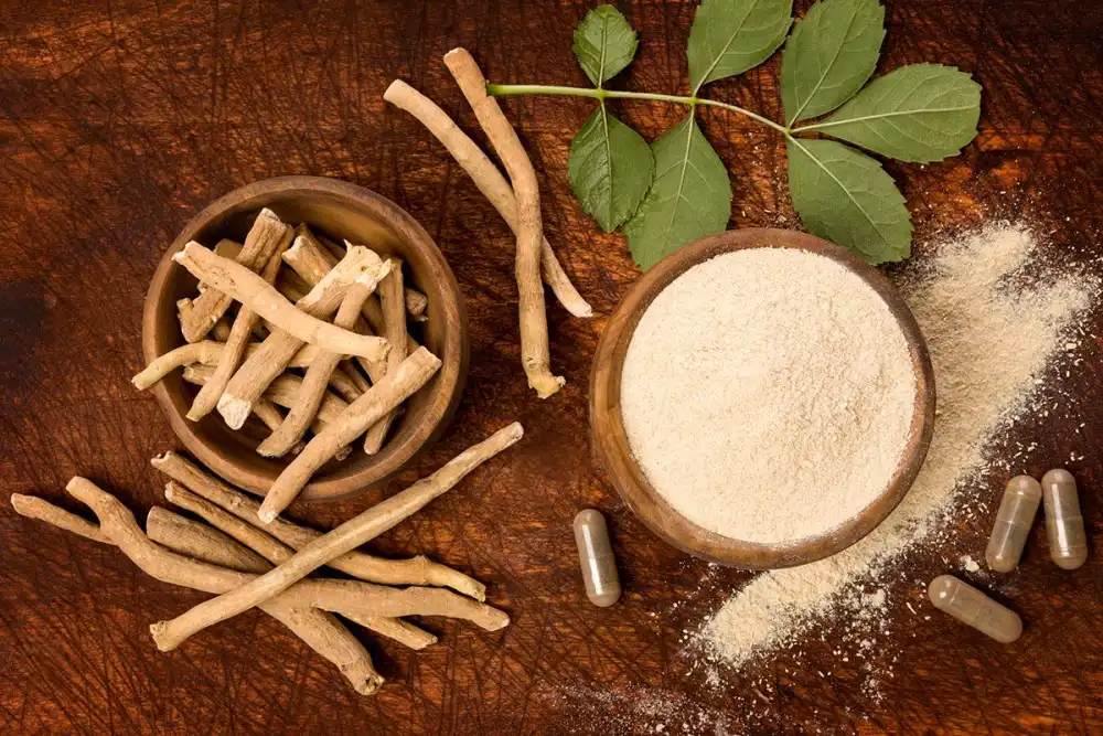 What Are the Top Applications of Ashwagandha Extract Wholesale in 2025?