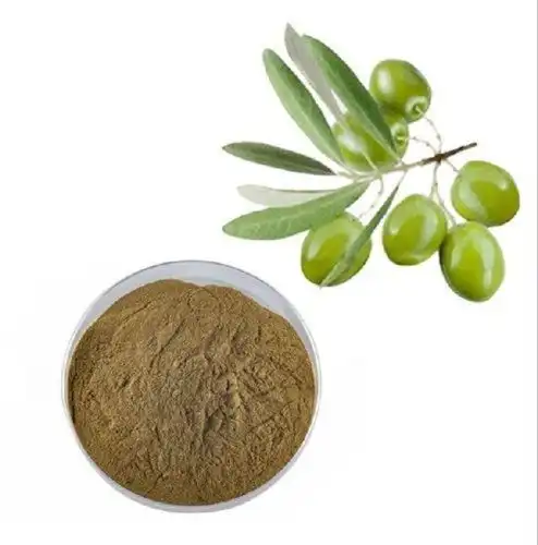 Oleuropein Powder Suppliers You Can Trust for Bulk Orders
