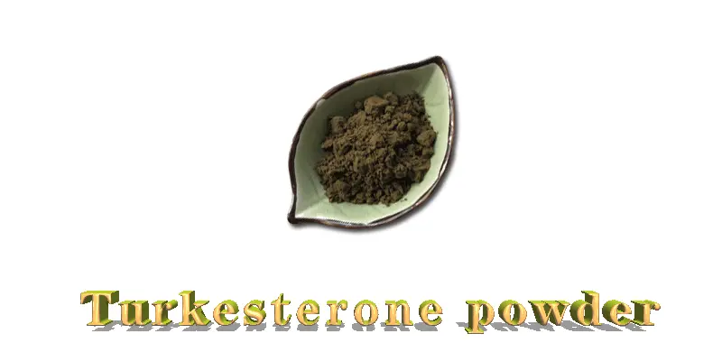 Top Ajuga Turkestanica Extract Powder Manufacturers in 2025