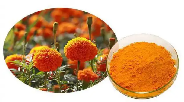3 Reasons to Partner with Expert Marigold Extract Powder Manufacturers