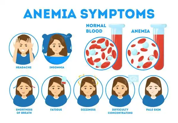 What Role Does Heme Iron Polypeptide Powder Play in Promoting Healthy Skin and Hair?