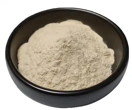 Global Insights: Nattokinase Powder Manufacturers You Can Trust