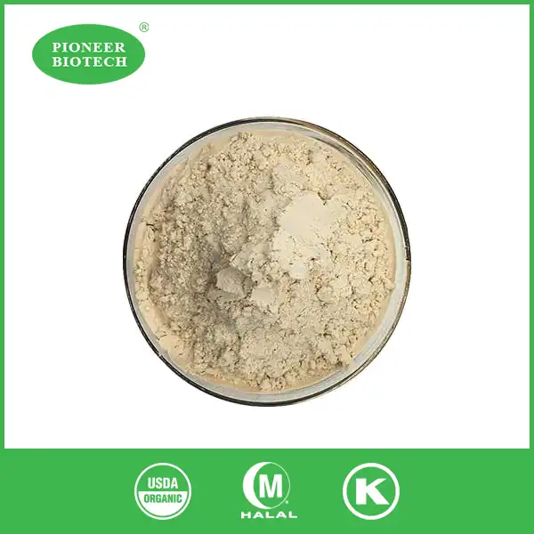 coconut protein powder