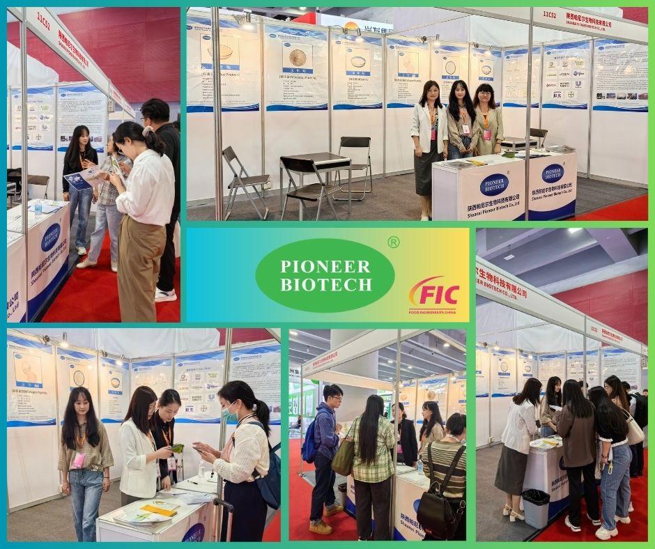 Pioneer Biotech Successfully Wraps Up Participation in FIC 2023